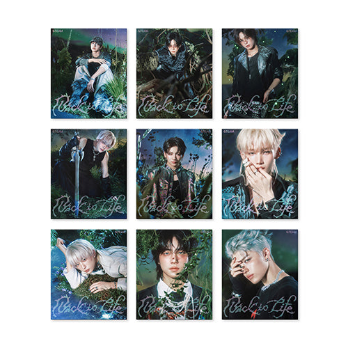 &TEAM - KR 1st Mini Album [Back to Life] (ROAR ver.)