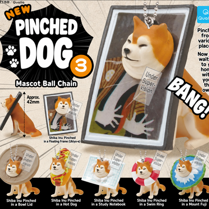 Capsule_Dog Ball Chain Mascot, Random