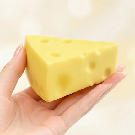 Soft Cheese Squishy