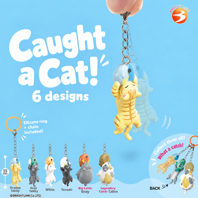 Capsule_Cat, Random