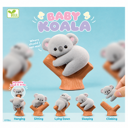 Capsule_Baby Koala, Random