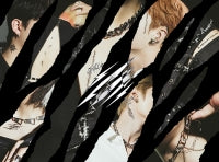 [Japanese Album] Stray Kids - [Scars / ソリクン -Japanese ver.-] (Limited C)
